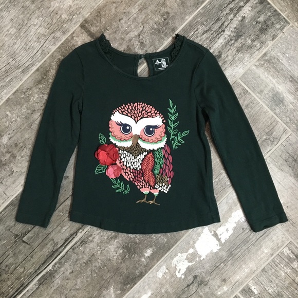 NWT Gymboree Creative Types Owl Girls Blue Long Sleeve Shirt 2T 3T